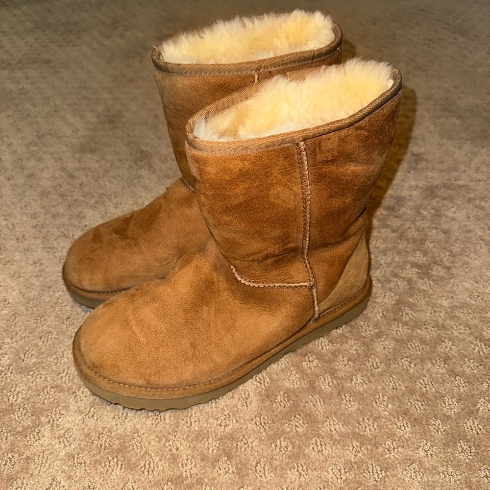 UGG Brown Winter Boots